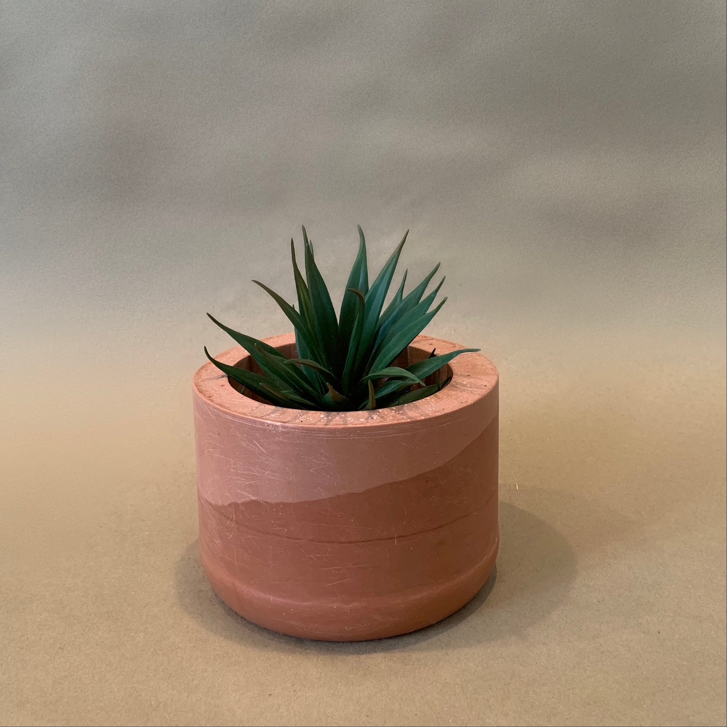 Desert Planter
