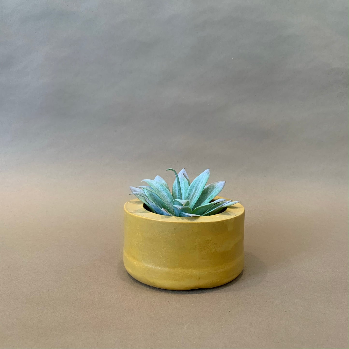 Valley Planter