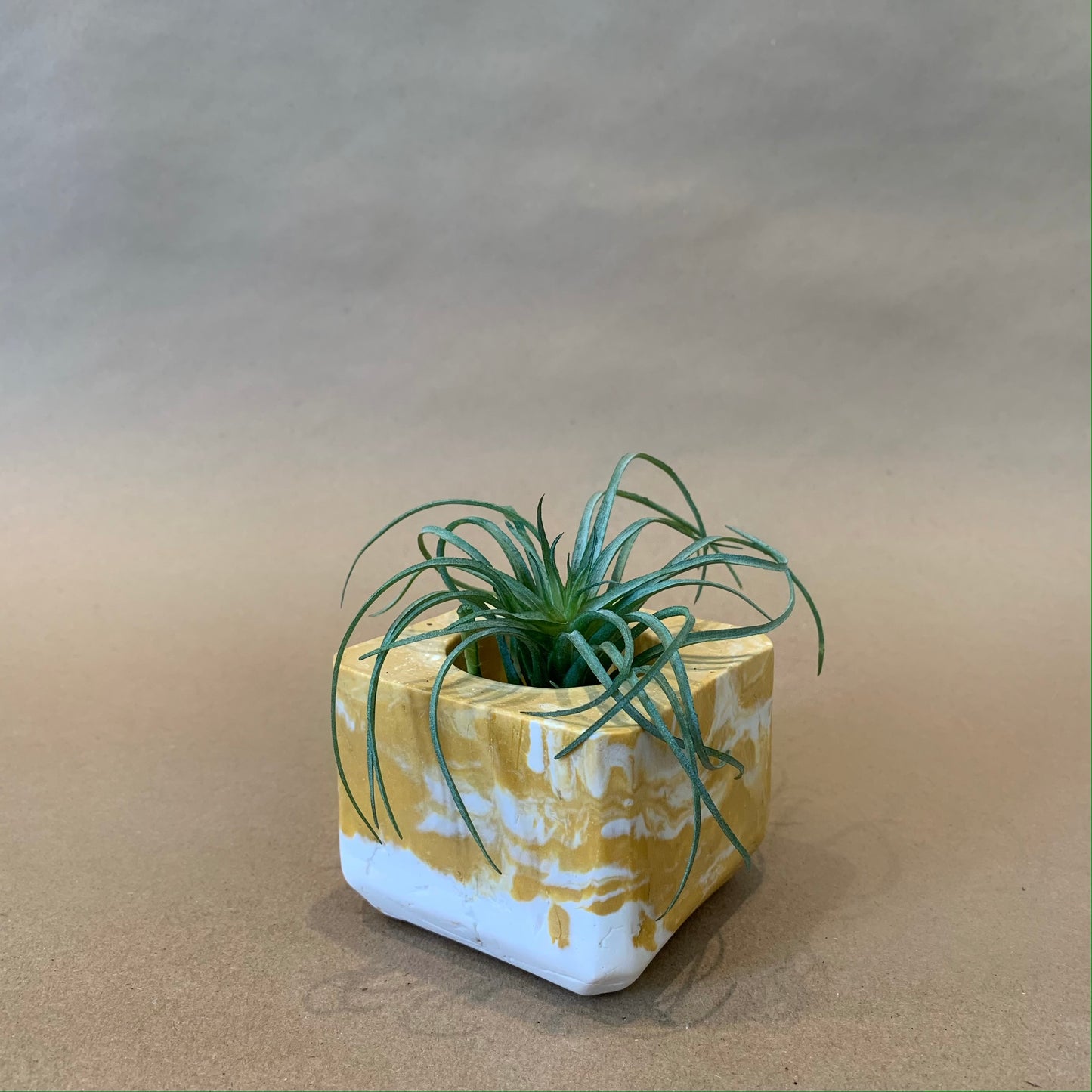 Nature Planter